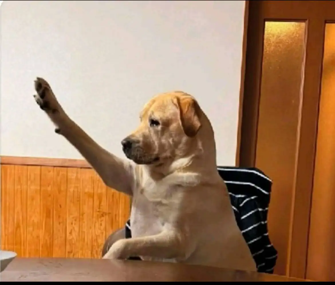 Investor Image Missing